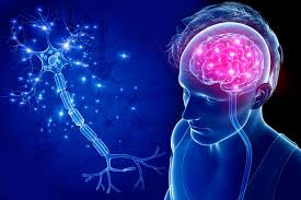 ClinicPro-Neurologist Department
