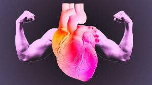 clinicpro-Cardiologist Department